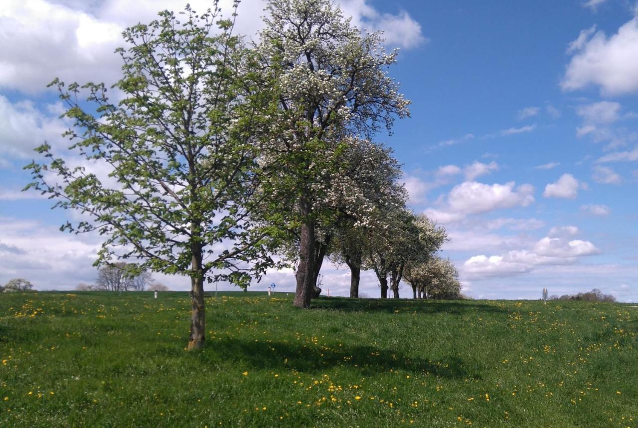 Familienbauernhof Strassbauer Villa Steinakirchen Am Forst ภายนอก รูปภาพ